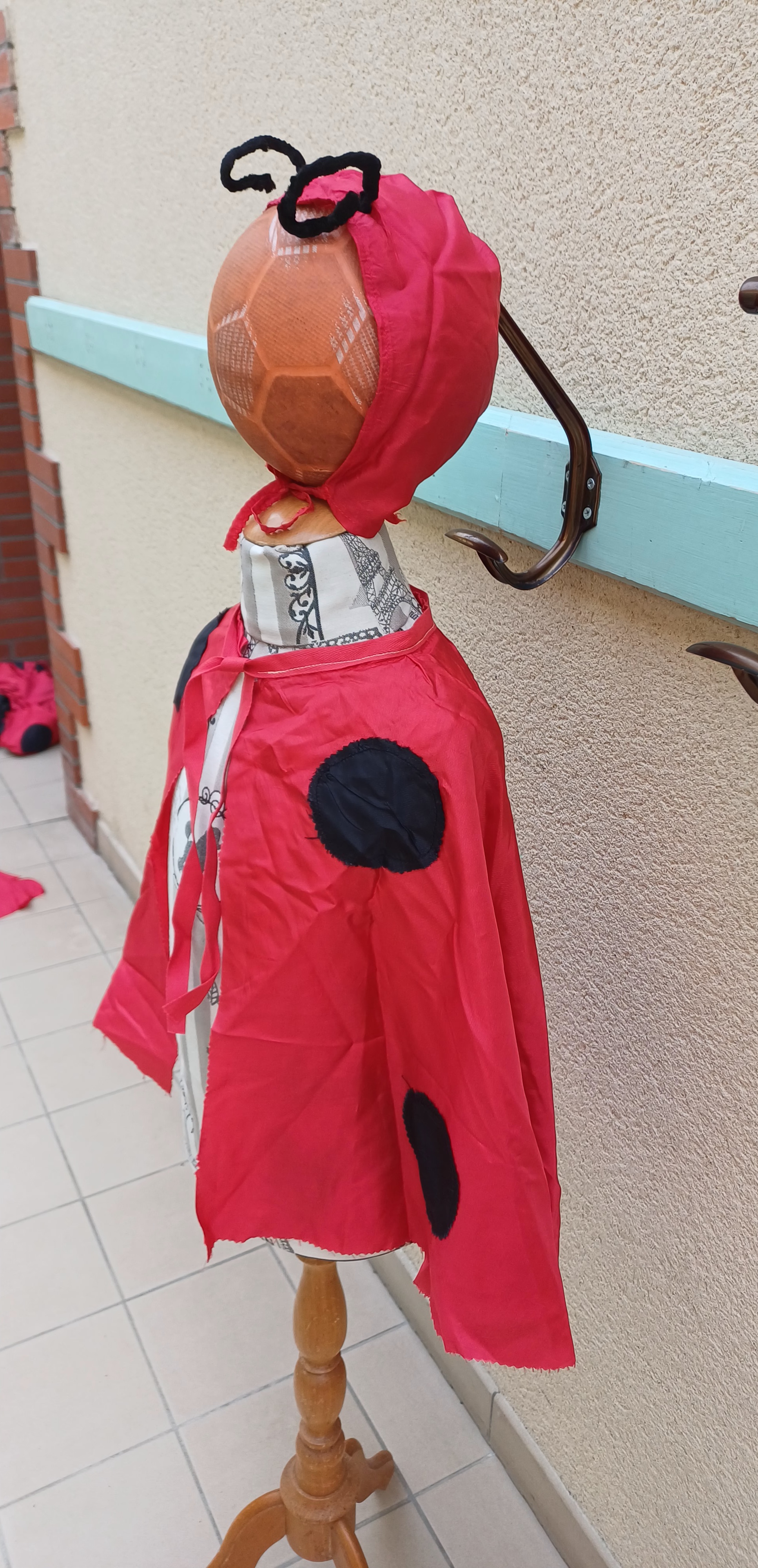 Les coccinelles — photo 2 — aperçu